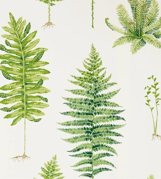 Fernery Wallpaper - Botanical Green - DGLW216633 - Sanderson