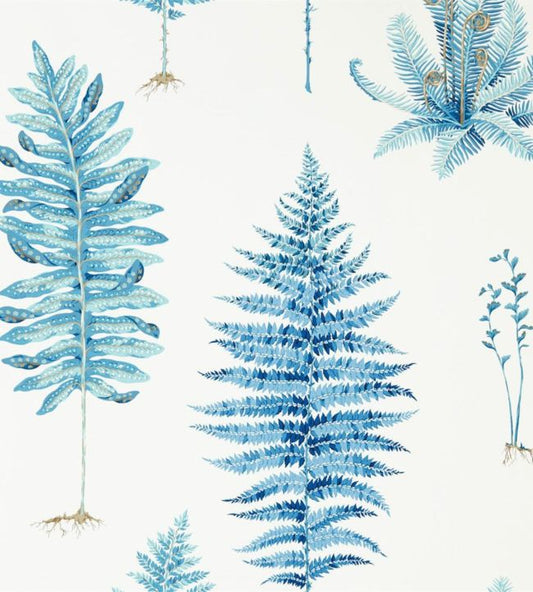 Fernery Wallpaper - China Blue - DGLW216635 - Sanderson
