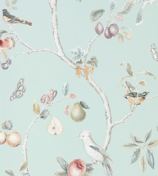 Fruit Aviary Wallpaper - Duck Egg/Multi - DART216312 - Sanderson