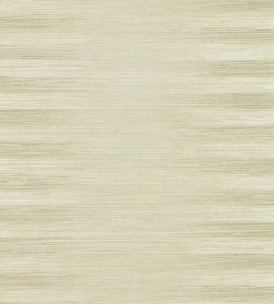 Kensington Grasscloth Wallpaper - Paris Grey - ZHIW313003 - Zoffany