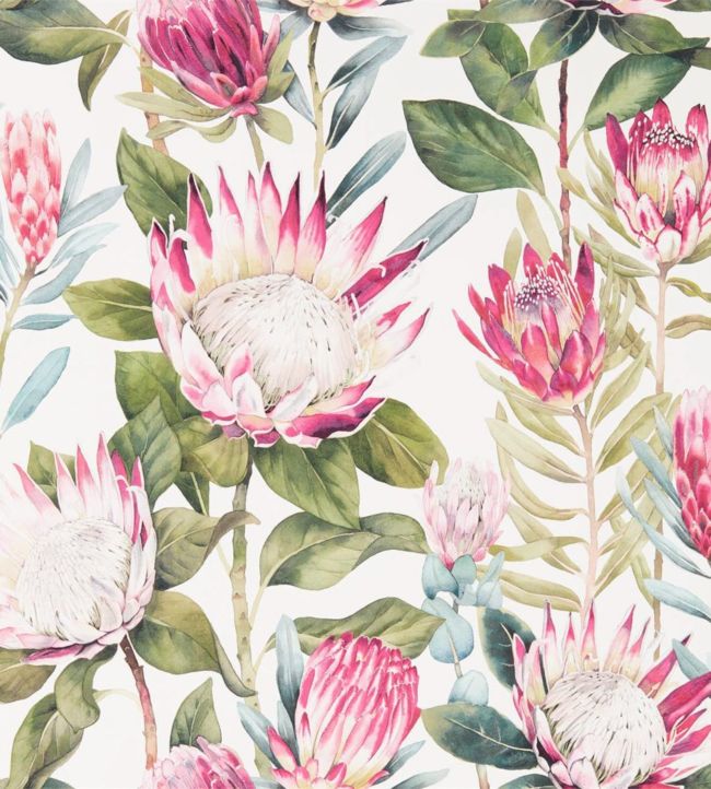 King Protea Wallpaper - Rhodera/Cream - DGLW216646 - Sanderson
