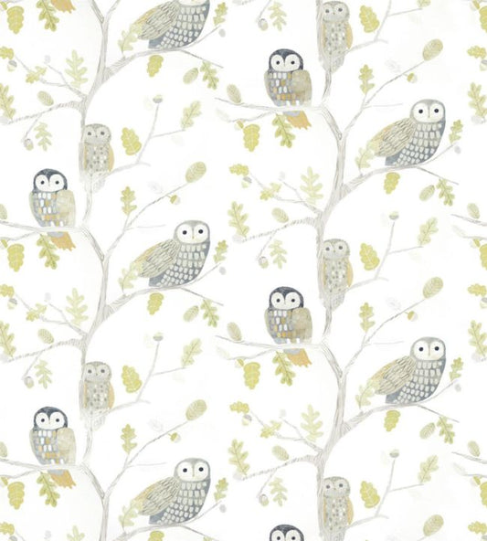 Little Owls Wallpaper - Kiwi - HLTF112627 - Harlequin