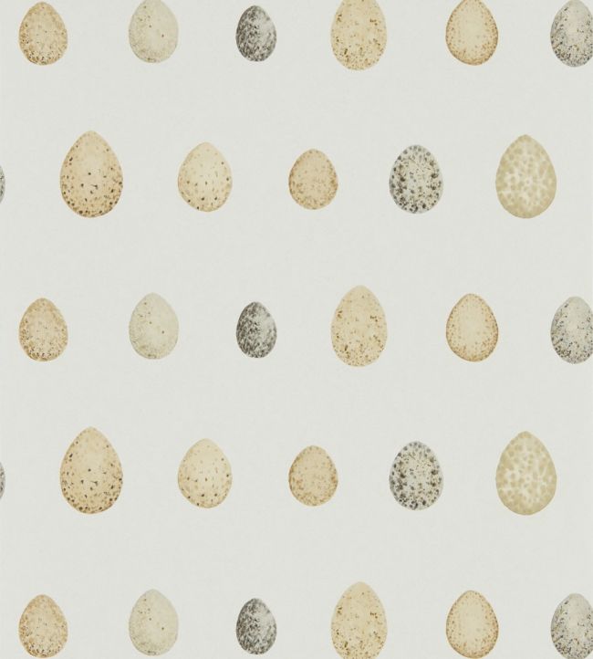 Nest Egg Wallpaper - Corn Graphite - DEBB216505 - Sanderson
