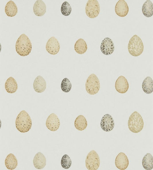 Nest Egg Wallpaper - Corn Graphite - DEBB216505 - Sanderson