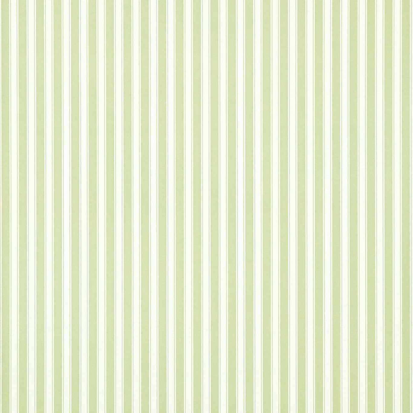 New Tiger Stripe Wallpaper - Leaf Green/Ivory - DCAVTP103 - Sanderson