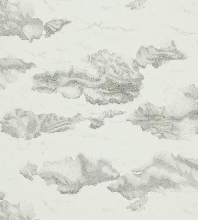 Nuvola Wallpaper - Ink/Mica - HAMA111071 - Harlequin