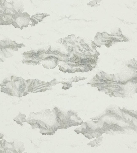 Nuvola Wallpaper - Ink/Mica - HAMA111071 - Harlequin