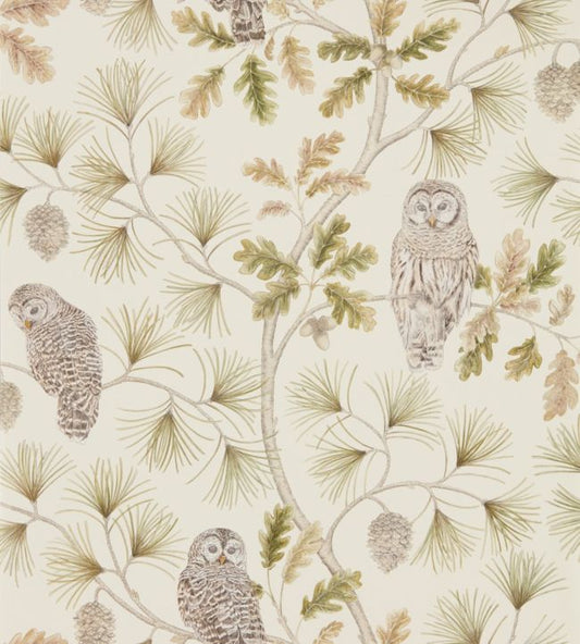Owlswick Wallpaper - Briarwood - DYSI216597 - Sanderson