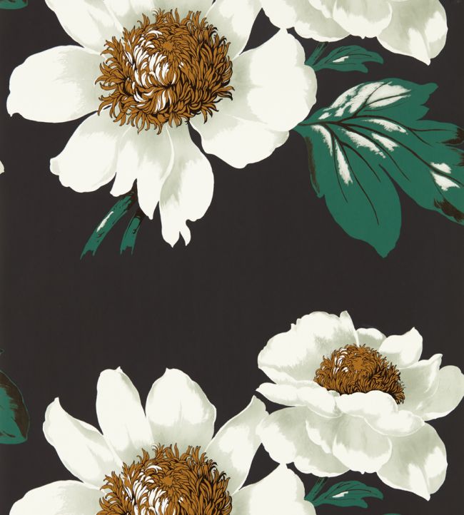 Paeonia Wallpaper - Black Earth/Fig Leaf/ Gold - HQN2112841 - Harlequin