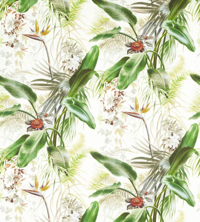 Paradise Row Wallpaper - Evergreen - ZHIW312989 - Zoffany