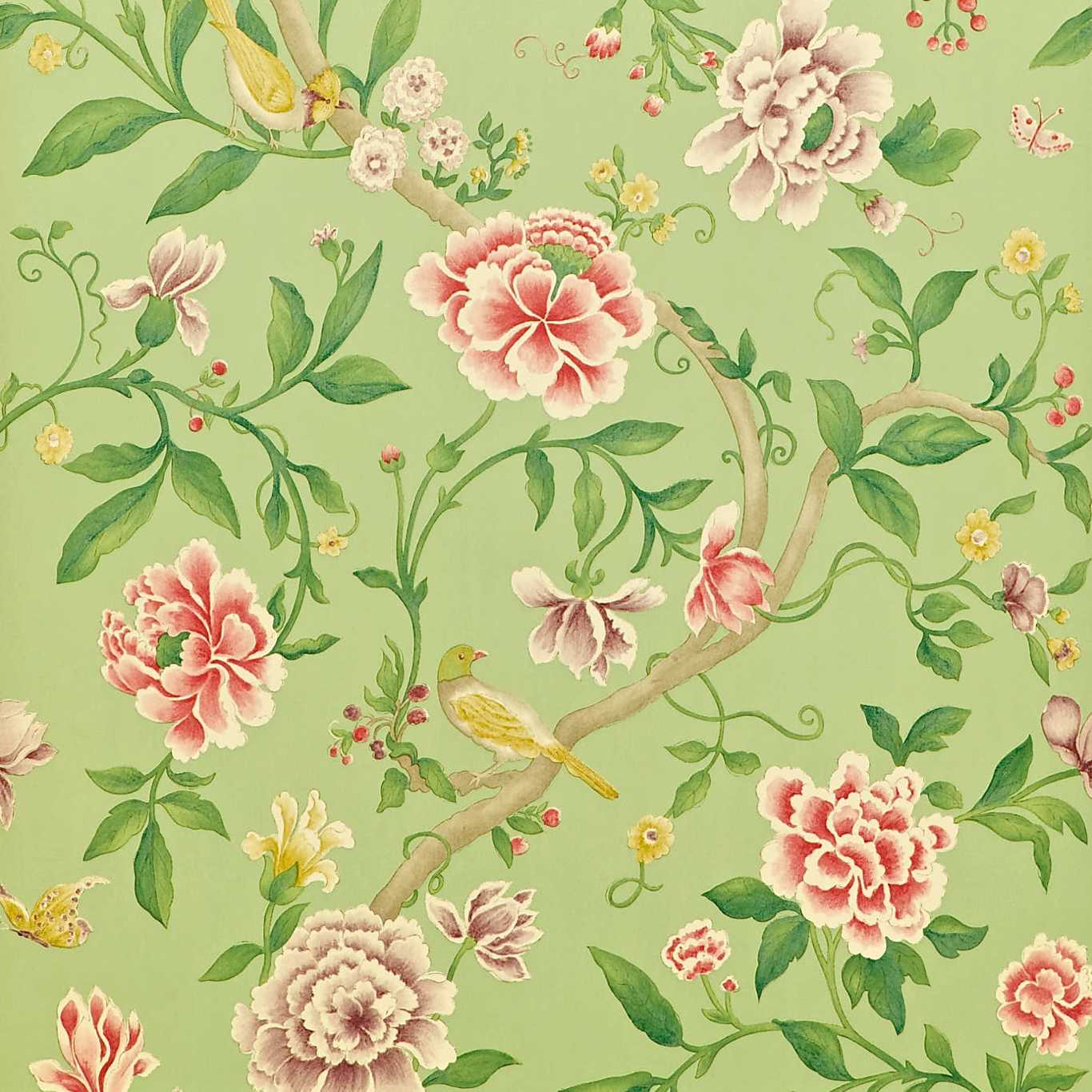 Porcelain Garden Wallpaper - Rose/Fennel - DCAVPO101 - Sanderson