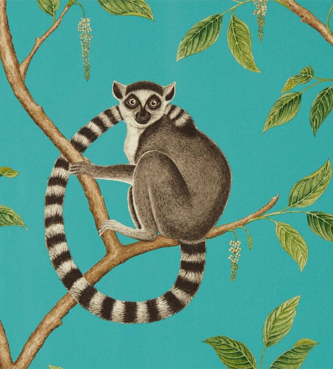Ringtailed Lemur Wallpaper - Teal - DGLW216663 - Sanderson