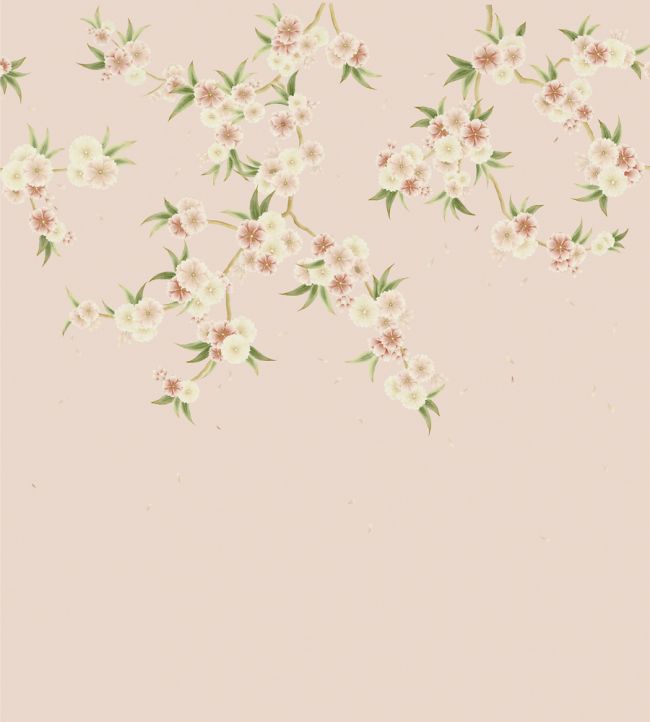 Rosa Wallpaper - Blush Pearl/Peony/Meadow - HDHW112887 - Harlequin