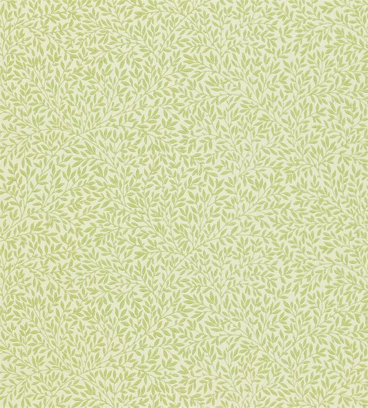 Standen Wallpaper - Fennel - 216833 - Morris & Co