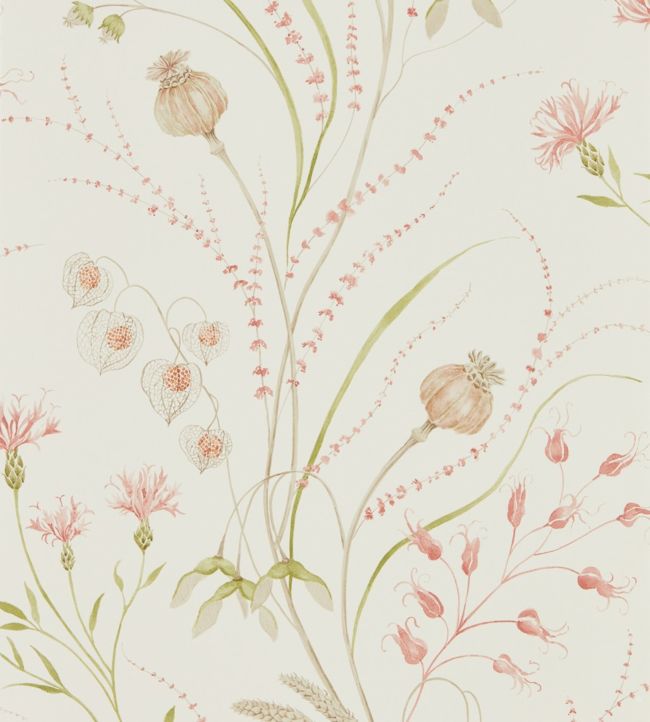 Summer Harvest Wallpaper - Claret/Olive - DEBB216495 - Sanderson