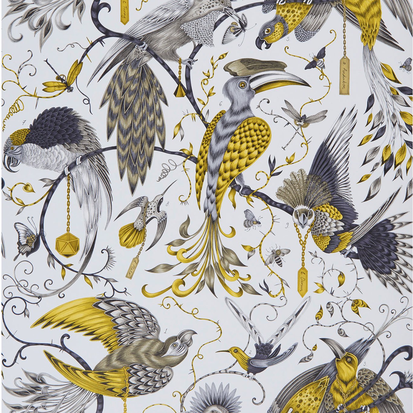 Audubon Wallpaper
