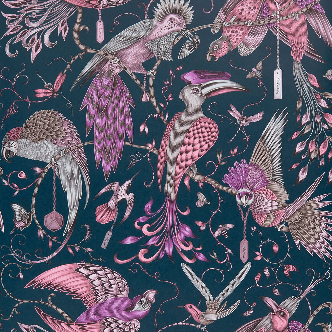 Audubon Wallpaper