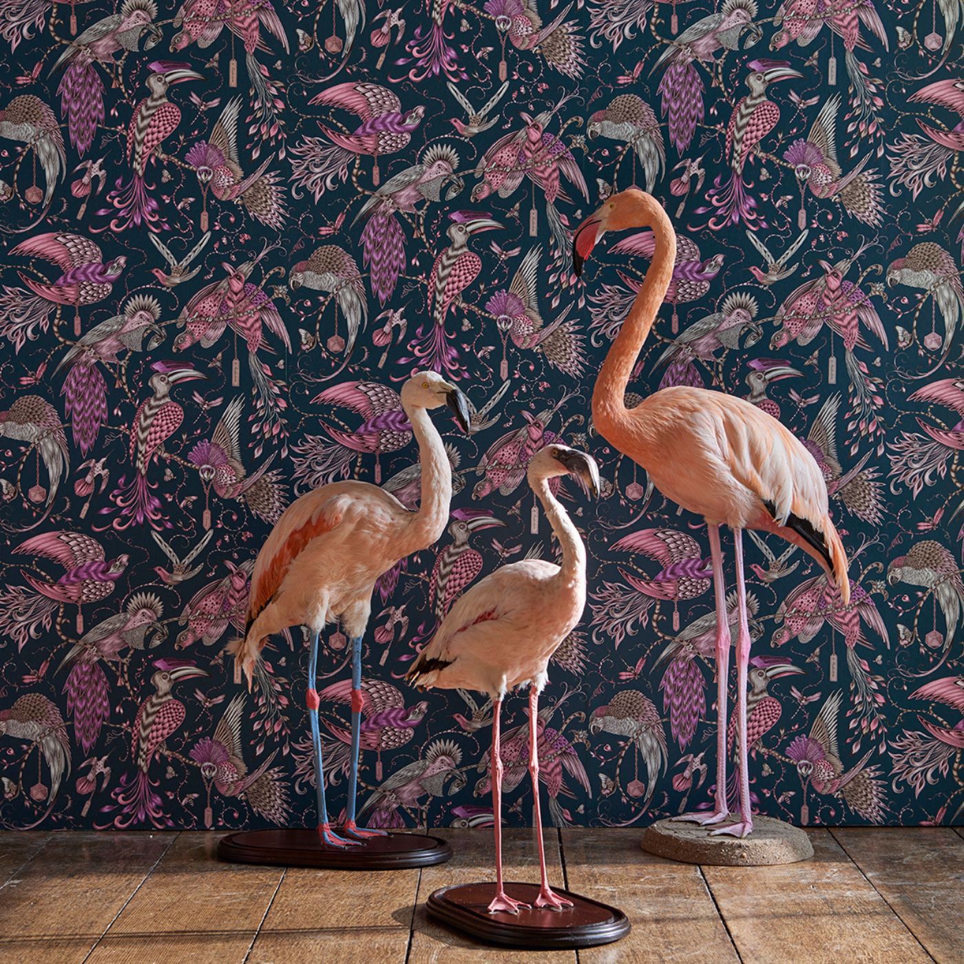 Audubon Wallpaper