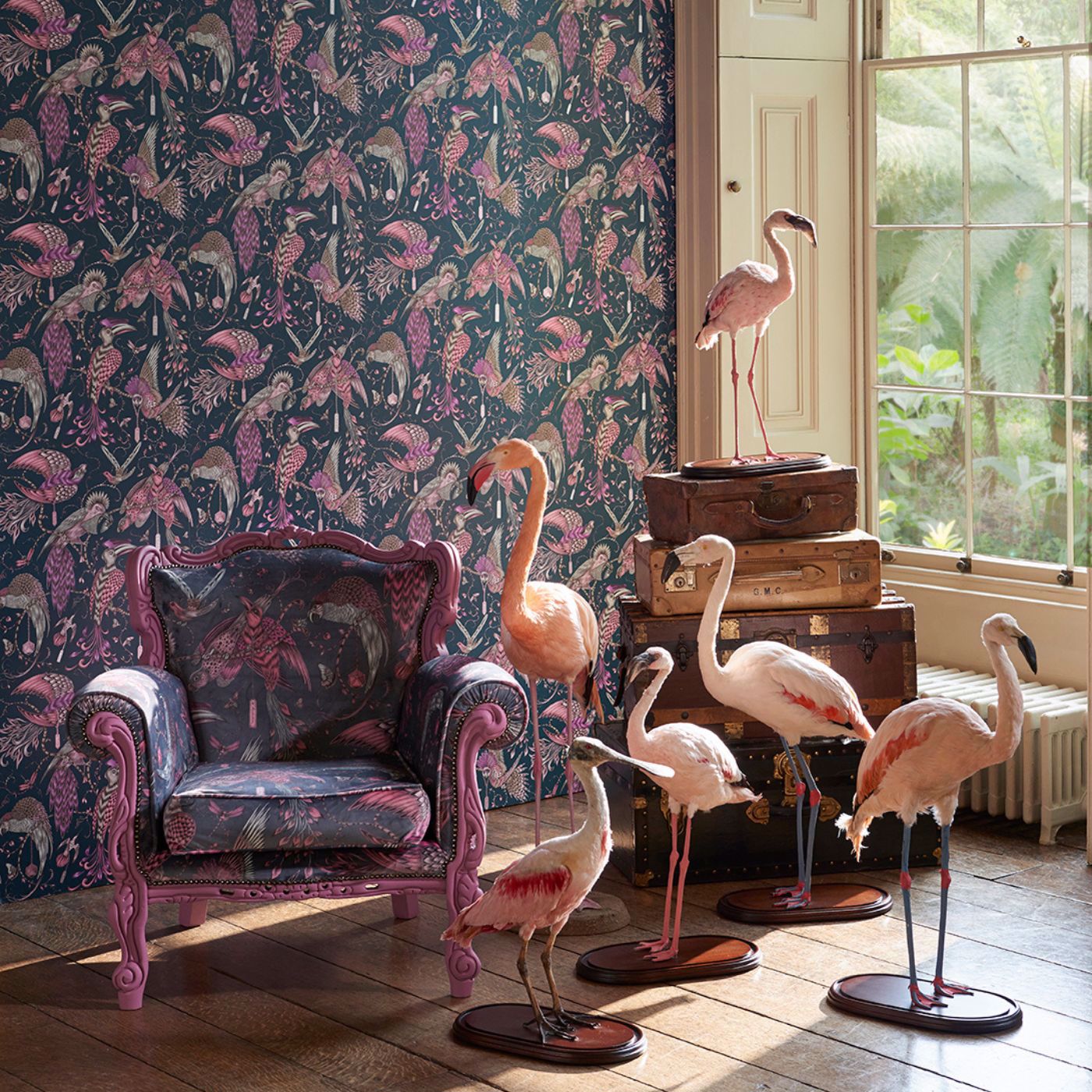 Audubon Wallpaper