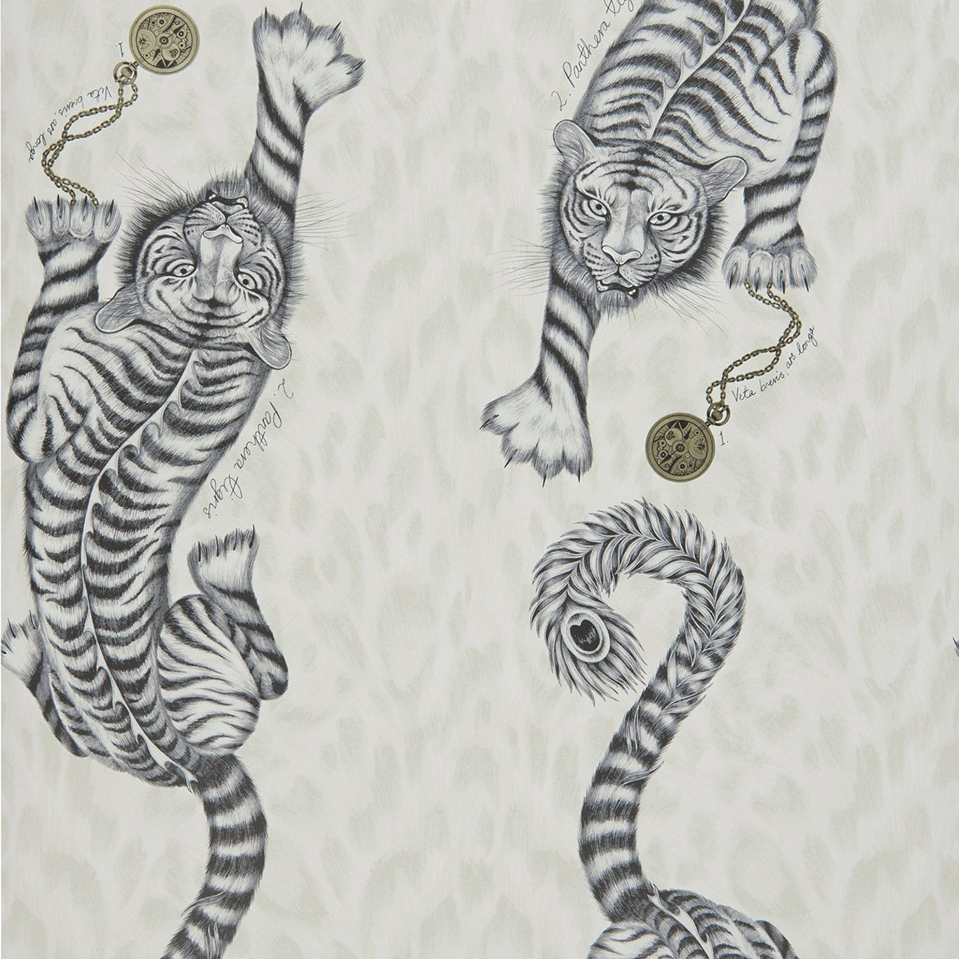 Tigris Wallpaper