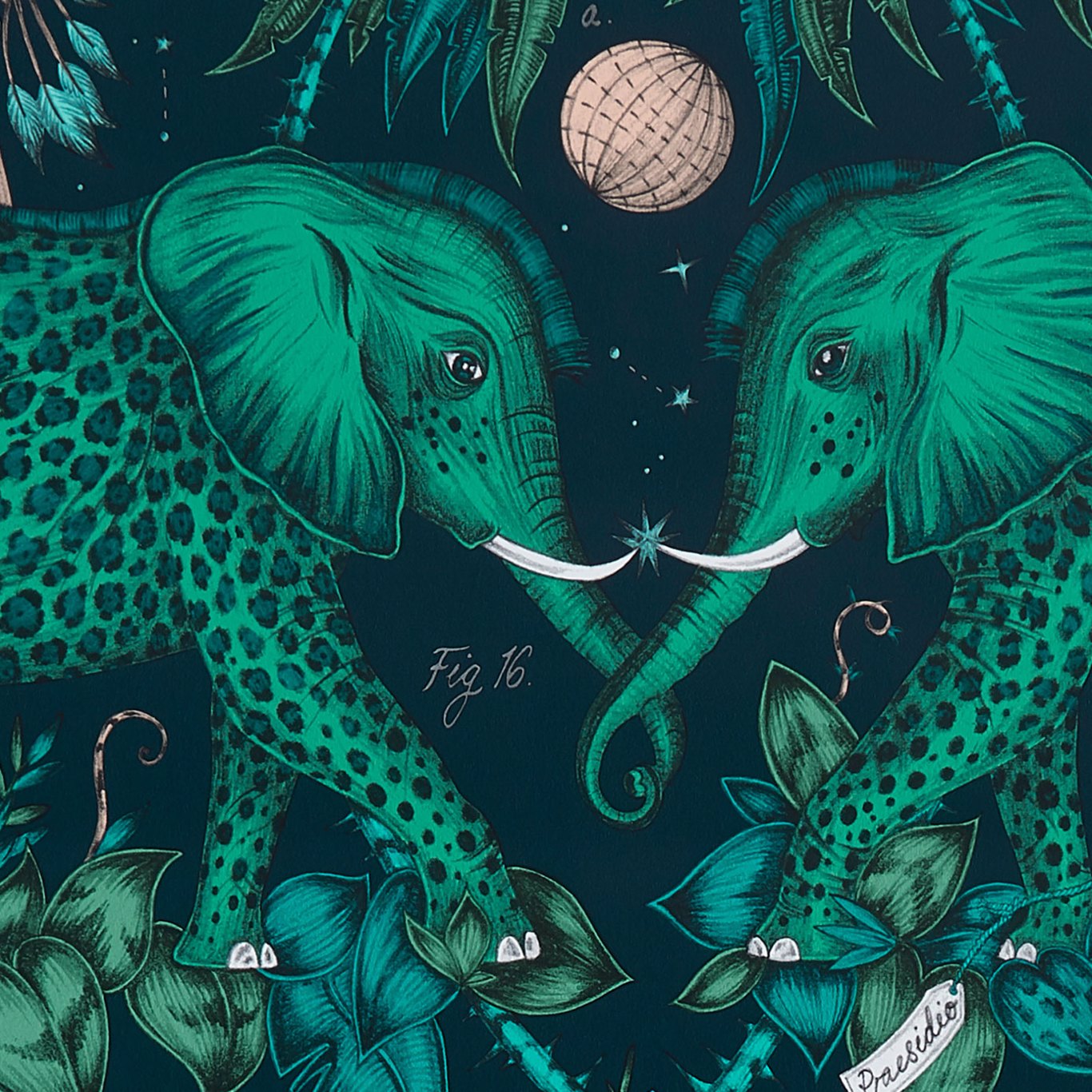 Zambezi Wallpaper