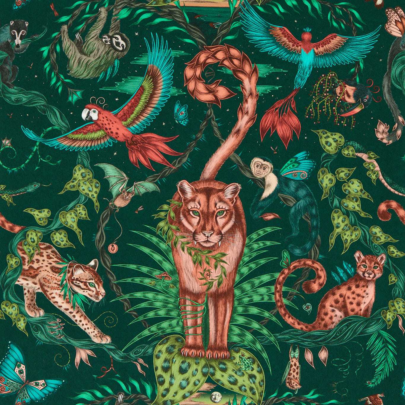 Bosque Dreams Wallpaper