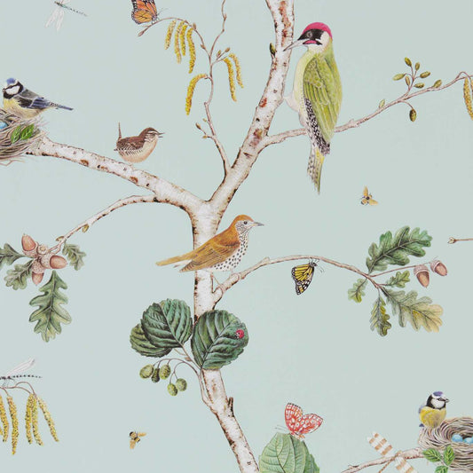 Woodland Chorus Wallpaper - Sky Blue/Multi - DWOW215706 - Sanderson