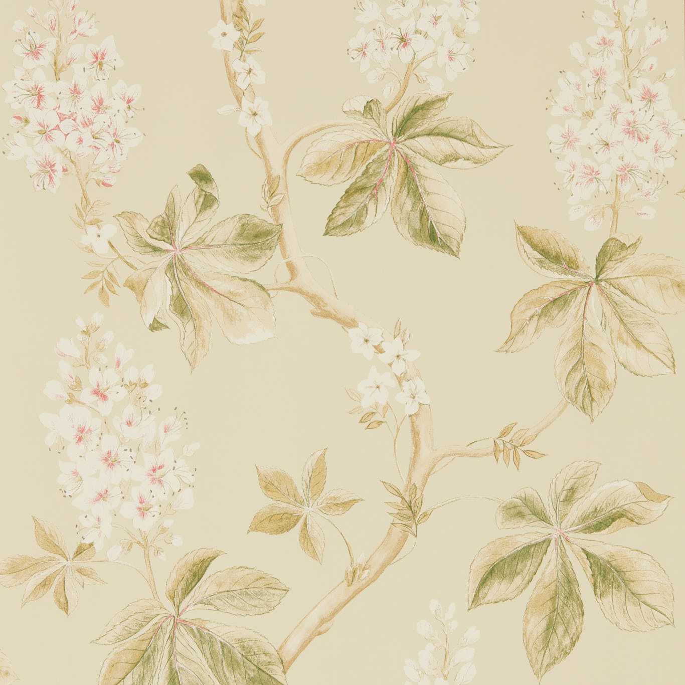 Chestnut Tree Wallpaper - Coral/Bayleaf - Sanderson - DWOW215709