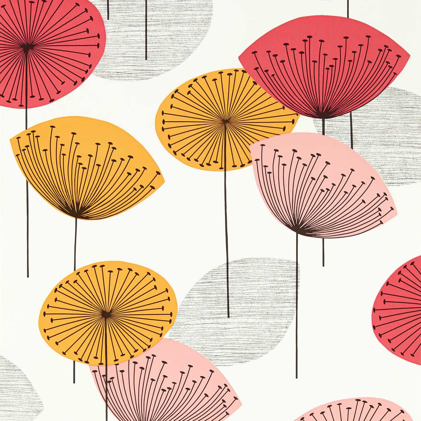 Dandelion Clocks Wallpaper - Coral - DOSW217030 - Sanderson