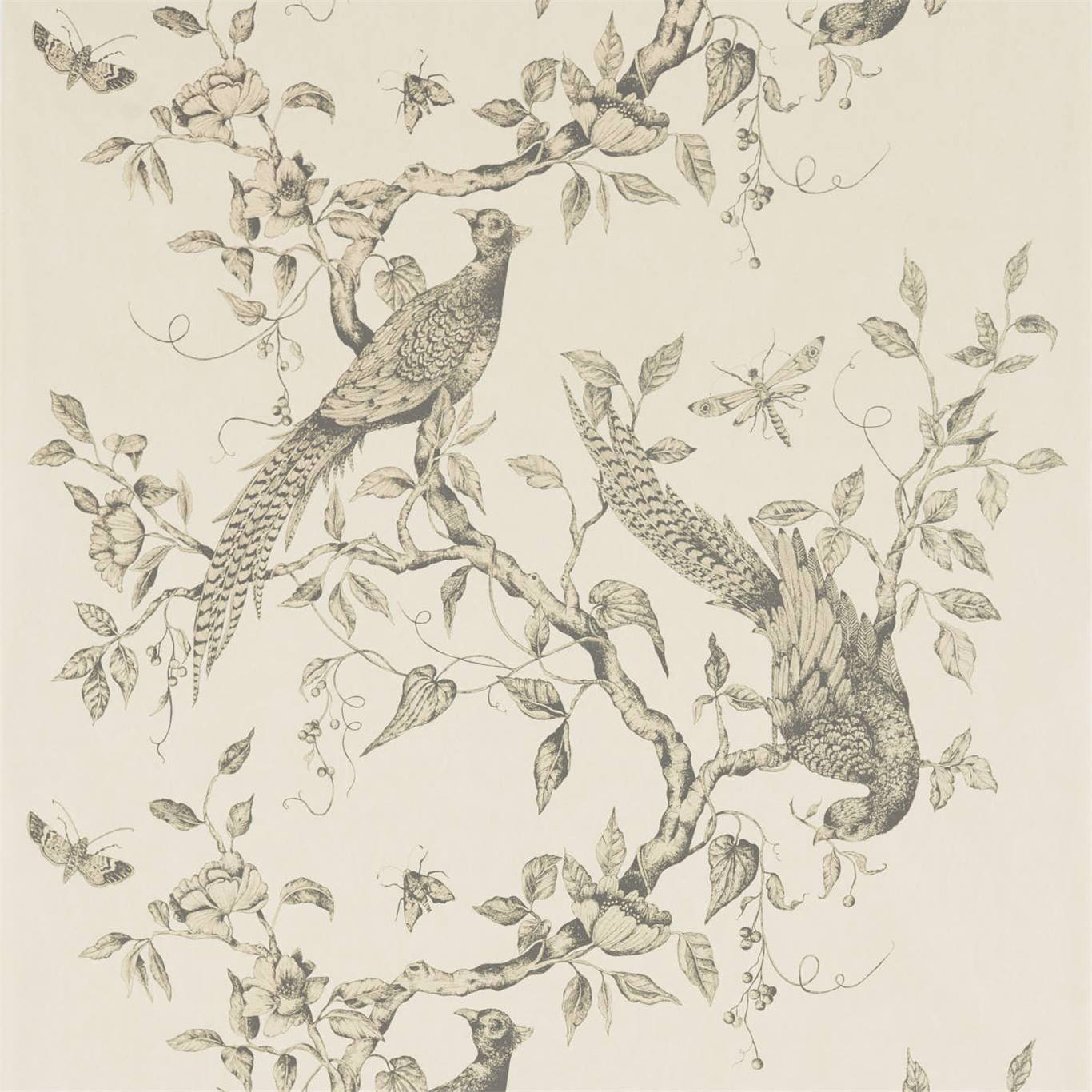 Darnley Wallpaper - Snow - ZDAR312848 - Zoffany - Premier Wallcovering