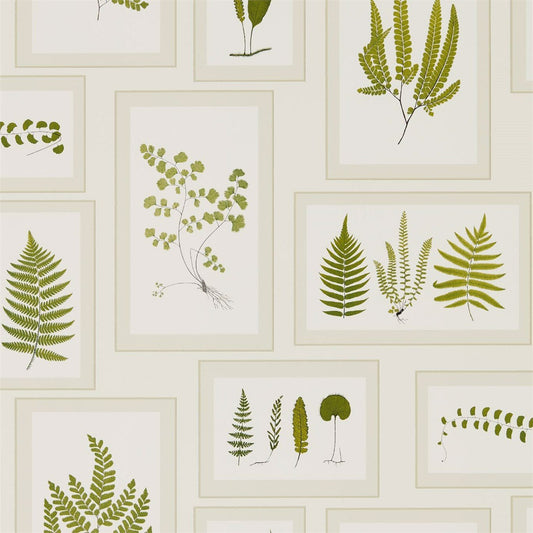 Fern Gallery Wallpaper - Ivory/Green - Sanderson - DWOW215712