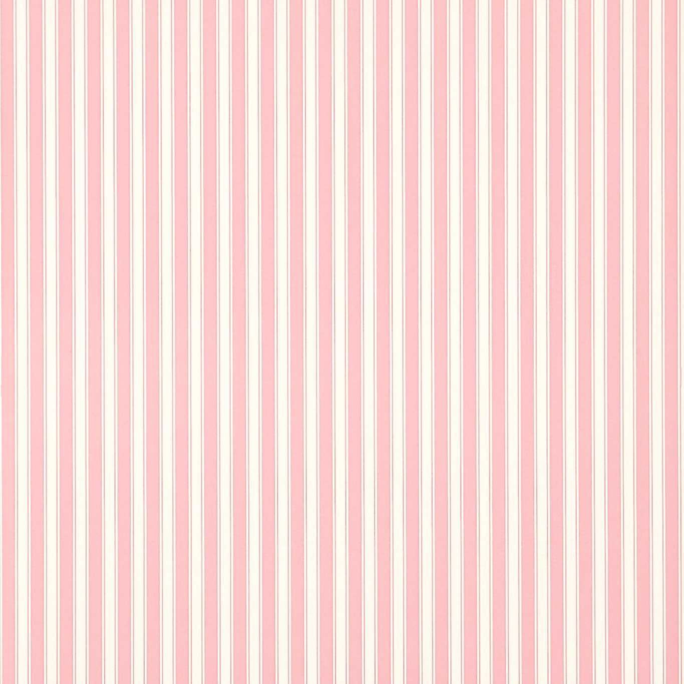 New Tiger Stripe Wallpaper - Rose/Ivory - DCAVTP101 - Sanderson