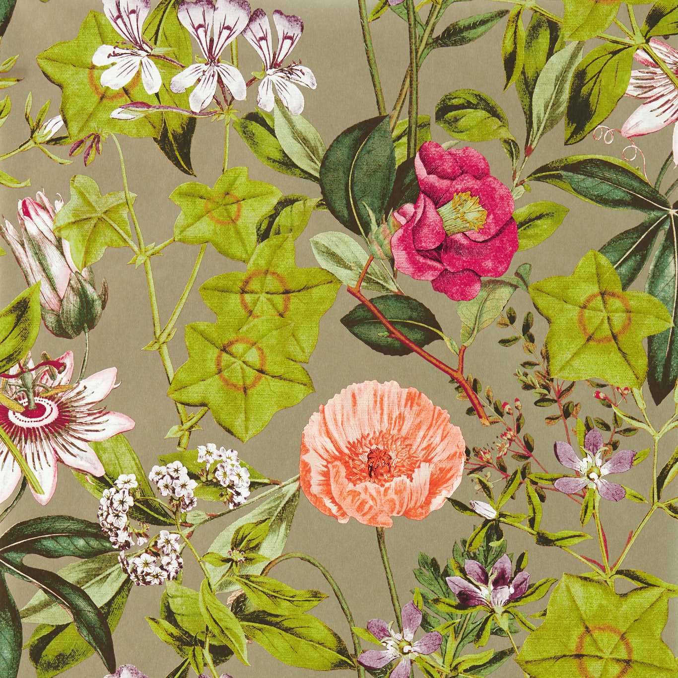 Passiflora Wallpaper - Mulberry/Gilver - Clarke & Clarke - W0143/03 - Premier Wallcovering