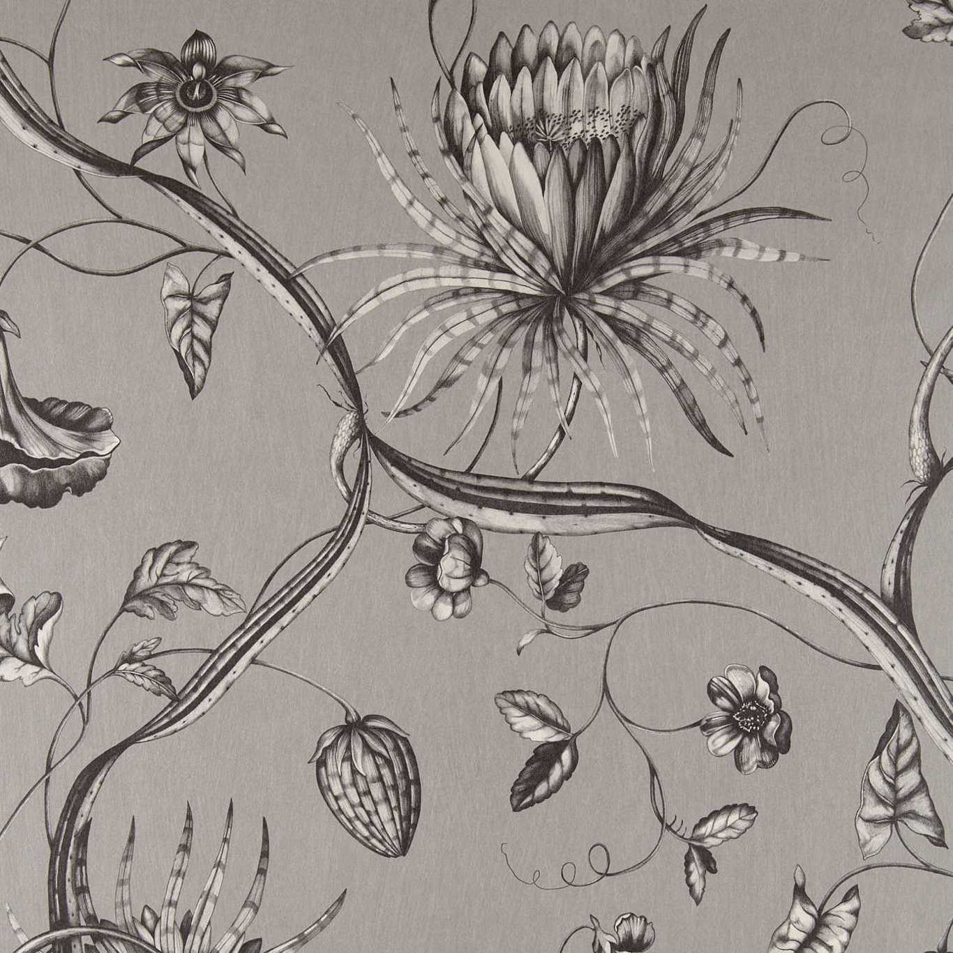 Phaedra Wallpaper - Silver - ZPHA312621 - Zoffany - Premier Wallcovering
