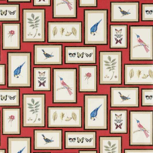 Picture Gallery Wallpaper - Red/Multi - DVOY213398 - Sanderson