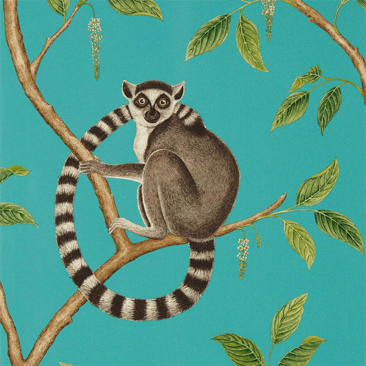 Ringtailed Lemur Wallpaper - Teal - Sanderson - DGLW216663
