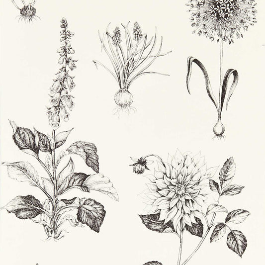 Roseraie Wallpaper - Charcoal - Clarke & Clarke - W0197/02 - Premier Wallcovering