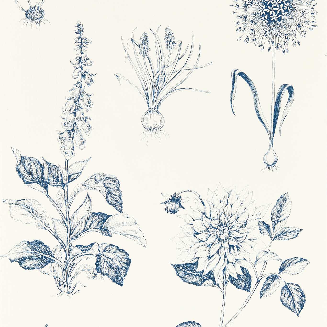 Roseraie Wallpaper - Midnight - Clarke & Clarke - W0197/03 - Premier Wallcovering