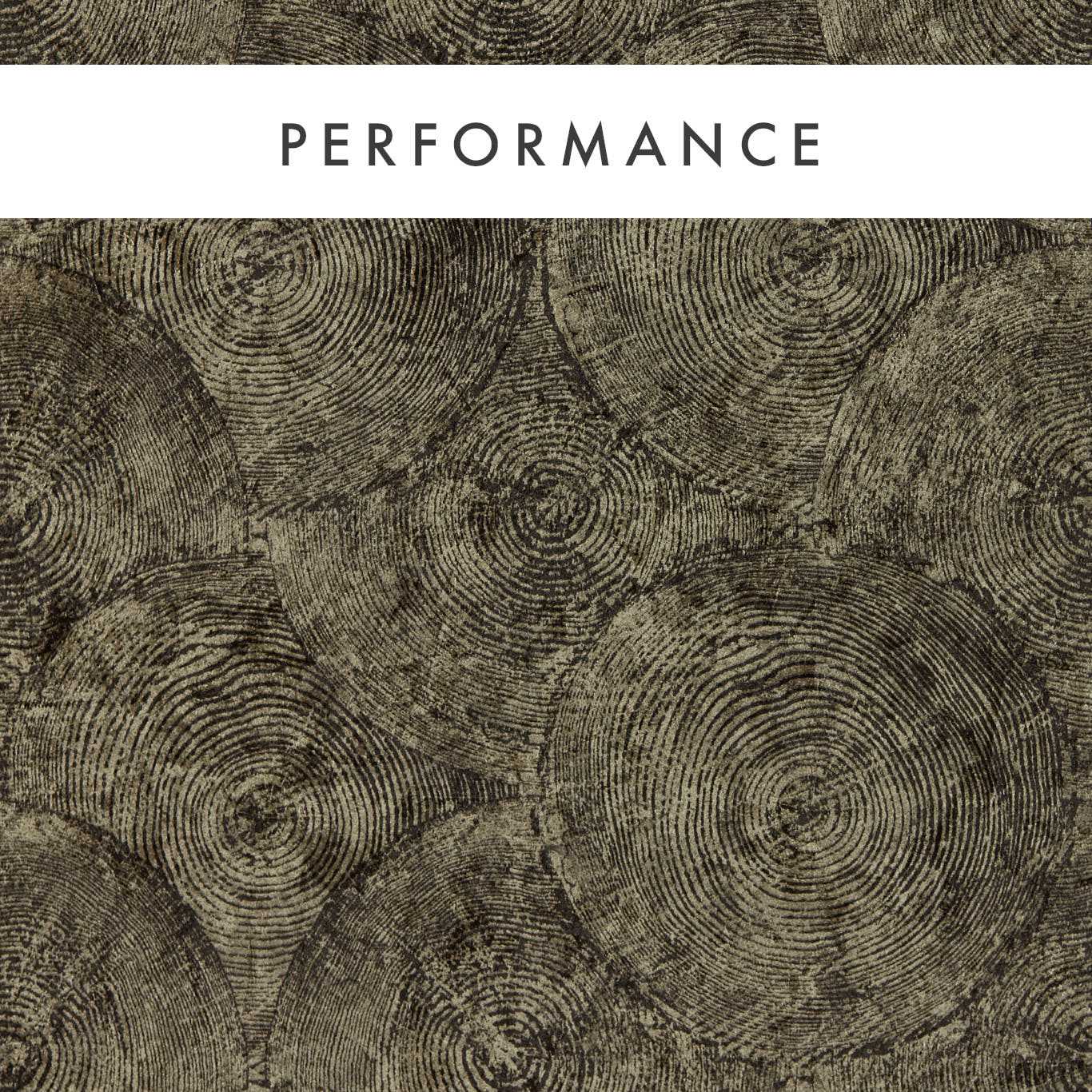 Silvan Wallpaper - Charcoal/Gilver - Clarke & Clarke - W0209/01 - Premier Wallcovering