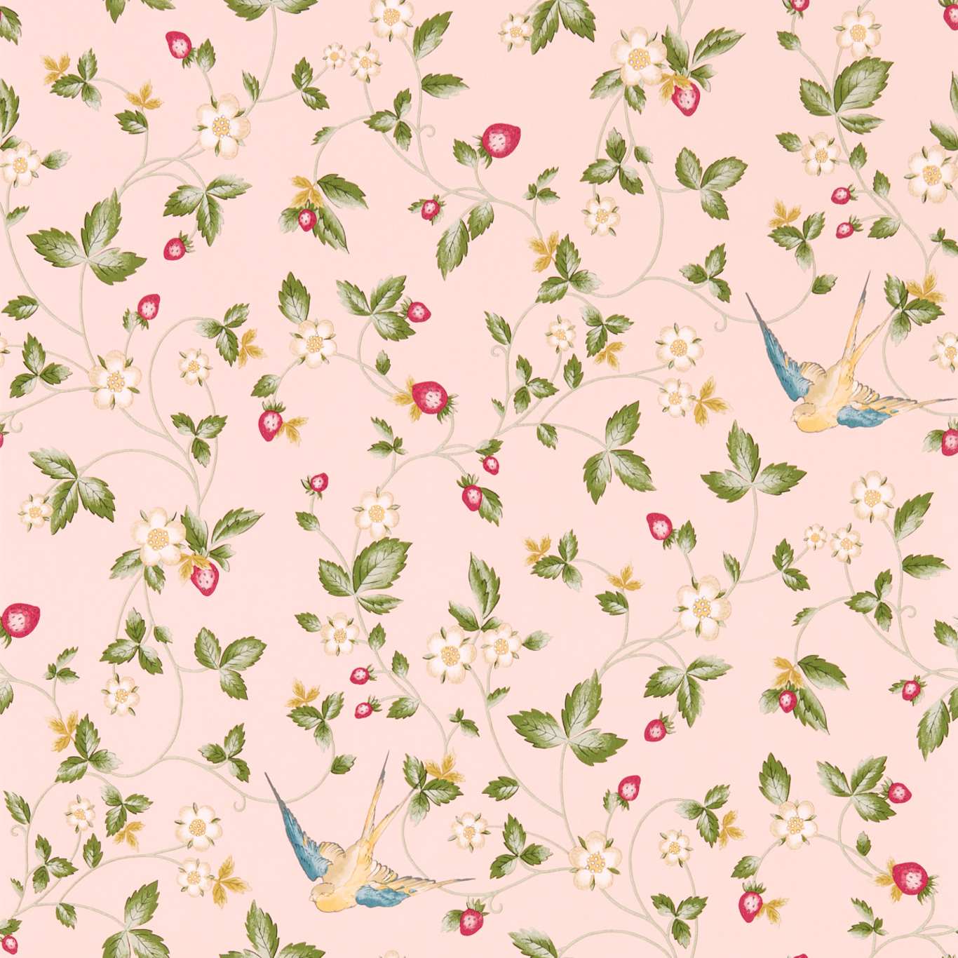 Wild Strawberry Wallpaper - Blush - Clarke & Clarke - W0135/01 - Premier Wallcovering