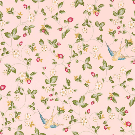 Wild Strawberry Wallpaper - Blush - Clarke & Clarke - W0135/01 - Premier Wallcovering